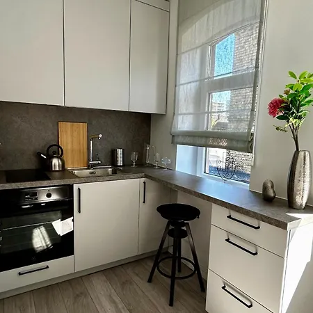 Cozy Apartmán Vilnius